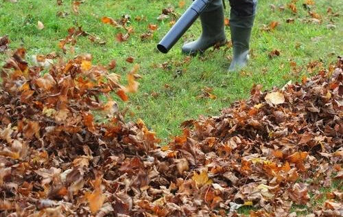 Healthy green lawn maintained during summer drought with proper watering and care by NLLC in Niagara Falls