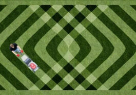 Prevent Brown Spots on Lawn Summer Niagara