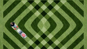 Prevent Brown Spots on Lawn Summer Niagara