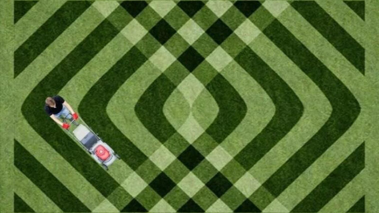 Prevent Brown Spots on Lawn Summer Niagara