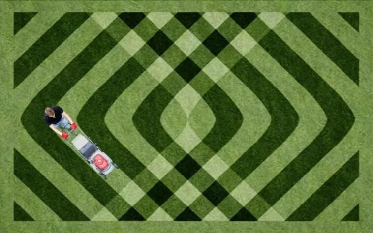 Prevent Brown Spots on Lawn Summer Niagara