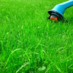 Niagara Landscaping Lawn Care & Cleaning services by Prajwal Shah in Niagara Falls Ontario