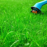 Niagara Landscaping Lawn Care & Cleaning services by Prajwal Shah in Niagara Falls Ontario