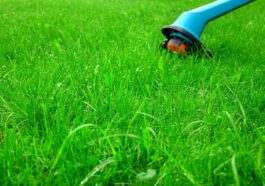 Niagara Landscaping Lawn Care & Cleaning services by Prajwal Shah in Niagara Falls Ontario