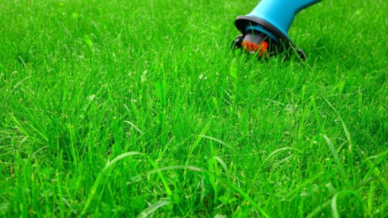 Niagara Landscaping Lawn Care & Cleaning services by Prajwal Shah in Niagara Falls Ontario
