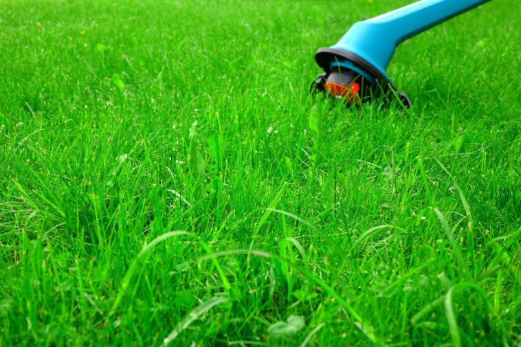 Niagara Landscaping Lawn Care & Cleaning services by Prajwal Shah in Niagara Falls Ontario