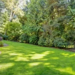 Seasonal lawn care service improving curb appeal and property value in Niagara Falls by NLLC
