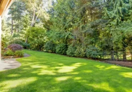 Seasonal lawn care service improving curb appeal and property value in Niagara Falls by NLLC