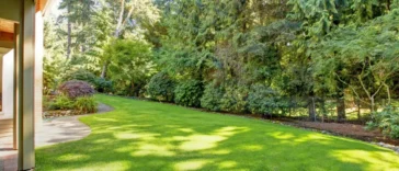 Seasonal lawn care service improving curb appeal and property value in Niagara Falls by NLLC