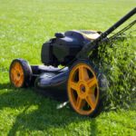 Top Lawn Care Mistakes Homeowners Make in Canada – NLLC