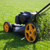 Top Lawn Care Mistakes Homeowners Make in Canada – NLLC
