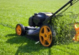 Top Lawn Care Mistakes Homeowners Make in Canada – NLLC
