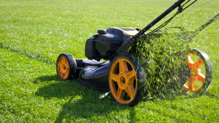 Top Lawn Care Mistakes Homeowners Make in Canada – NLLC