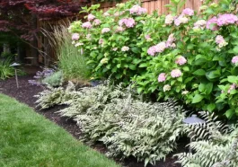 Professional lawn care and landscaping service in Niagara Falls