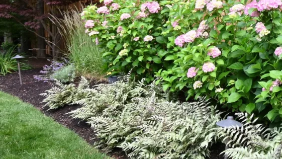Professional lawn care and landscaping service in Niagara Falls