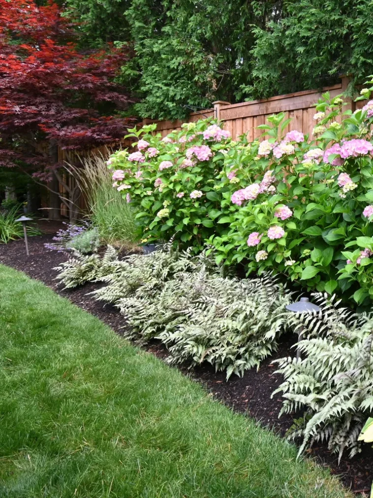 Professional lawn care and landscaping service in Niagara Falls