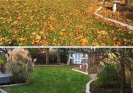 Summer lawn care maintenance in Niagara with green grass and professional landscaping by NLLC
