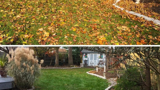 Summer lawn care maintenance in Niagara with green grass and professional landscaping by NLLC
