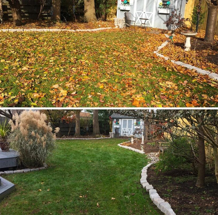 Summer lawn care maintenance in Niagara with green grass and professional landscaping by NLLC