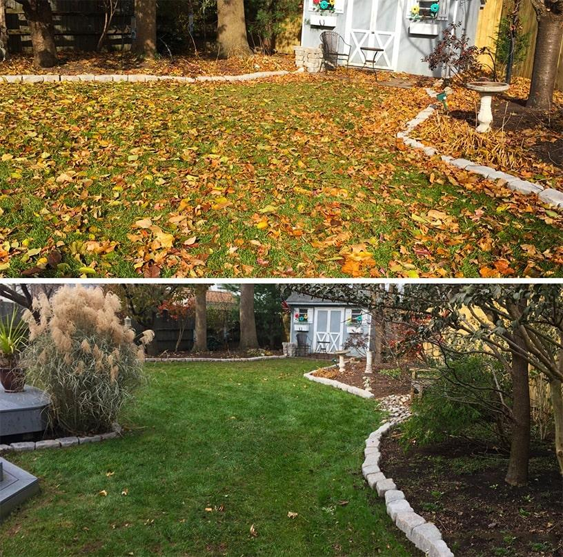 Summer lawn care maintenance in Niagara with green grass and professional landscaping by NLLC