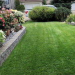 Best grass types for a summer-ready lawn in Niagara Falls by NLLC