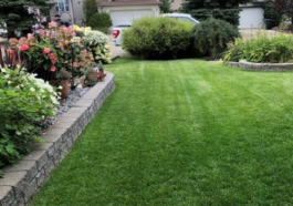 Best grass types for a summer-ready lawn in Niagara Falls by NLLC