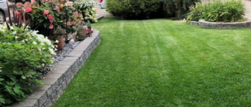 Best grass types for a summer-ready lawn in Niagara Falls by NLLC
