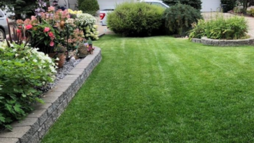 Best grass types for a summer-ready lawn in Niagara Falls by NLLC