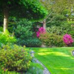 Lush green lawn in Niagara Falls being mowed by professional landscaping team