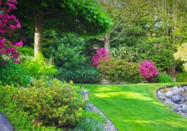 Lush green lawn in Niagara Falls being mowed by professional landscaping team