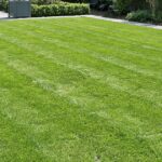 Healthy green lawn during summer maintained by Niagara Landscaping Lawn Care and Cleaning in Niagara Falls