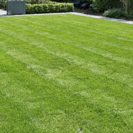Healthy green lawn during summer maintained by Niagara Landscaping Lawn Care and Cleaning in Niagara Falls