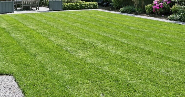 Healthy green lawn during summer maintained by Niagara Landscaping Lawn Care and Cleaning in Niagara Falls