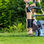 Niagara Landscaping Lawn Care & Cleaning ServicesProfessional lawn care