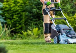 Niagara Landscaping Lawn Care & Cleaning ServicesProfessional lawn care