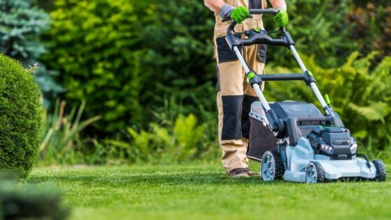 Niagara Landscaping Lawn Care & Cleaning ServicesProfessional lawn care