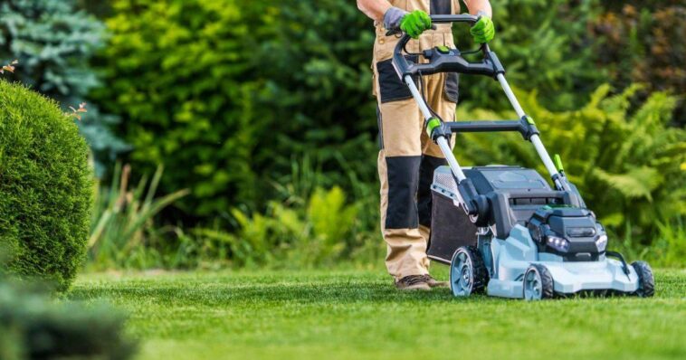 Niagara Landscaping Lawn Care & Cleaning ServicesProfessional lawn care