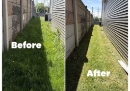 Niagara Landscaping Lawn Care & Cleaning team providing professional lawn maintenance and landscaping services in Niagara Falls