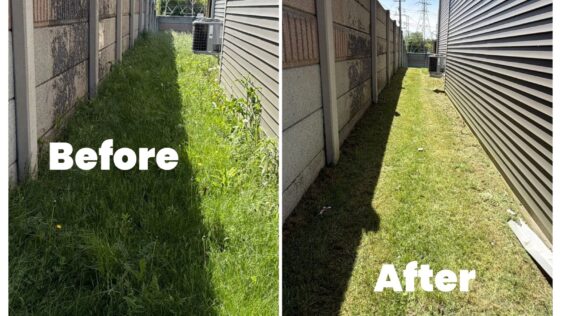 Niagara Landscaping Lawn Care & Cleaning team providing professional lawn maintenance and landscaping services in Niagara Falls