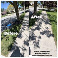 Organic Lawn Care Tips by NLLC – Niagara Landscaping Summer Maintenance