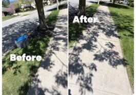 Organic Lawn Care Tips by NLLC – Niagara Landscaping Summer Maintenance