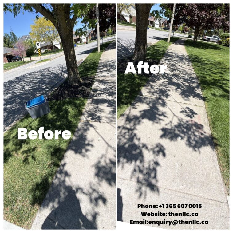 Organic Lawn Care Tips by NLLC – Niagara Landscaping Summer Maintenance